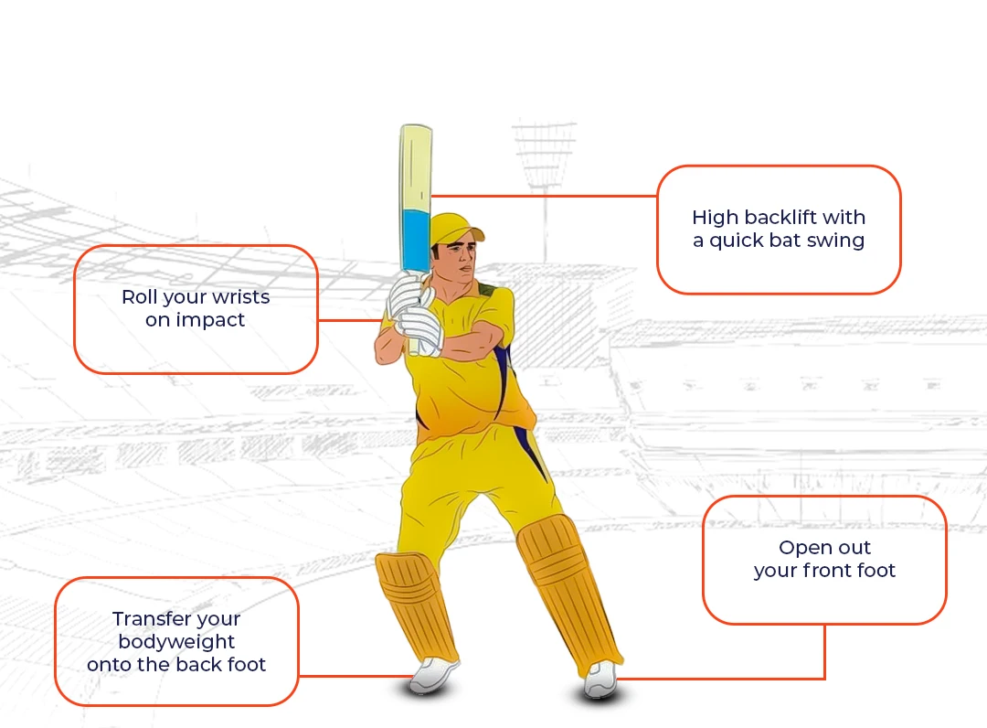 Cricket Diagram